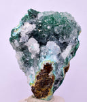 4.9cms GEM SILICA CHRYSOCOLLA Druzy Quartz Lily Mine Peru Mineral Specimen D288