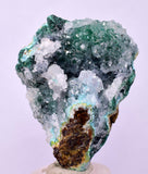 4.9cms GEM SILICA CHRYSOCOLLA Druzy Quartz Lily Mine Peru Mineral Specimen D288