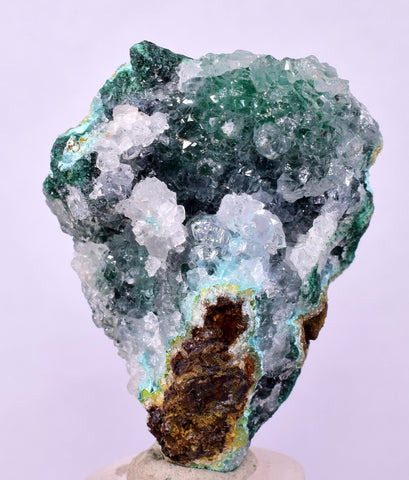 4.9cms GEM SILICA CHRYSOCOLLA Druzy Quartz Lily Mine Peru Mineral Specimen D288