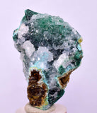 4.9cms GEM SILICA CHRYSOCOLLA Druzy Quartz Lily Mine Peru Mineral Specimen D288