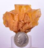 4.8cms GEM YELLOW FLUORITE Shiny Crystal Ahouli Morocco Mineral Specimen K97