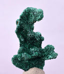 3.2cms GEM MALACHITE Crystals Ahouli Mines Midelt Province Morocco U615