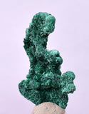 3.2cms GEM MALACHITE Crystals Ahouli Mines Midelt Province Morocco U615