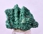 2.4cms GEM MALACHITE Crystals Ahouli Mines Midelt Province Morocco U616