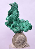 3.9cms GEM MALACHITE Crystals Ahouli Mines Midelt Province Morocco U618