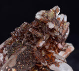 5.7cms  HEMATOID QUARTZ GOETHITE Rare Shiny Crystal Mineral Specimen Q393