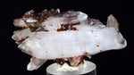 5.7cms  HEMATOID QUARTZ GOETHITE Rare Shiny Crystal Mineral Specimen Q393