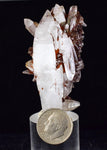 5.7cms  HEMATOID QUARTZ GOETHITE Rare Shiny Crystal Mineral Specimen Q393