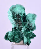 2.8cms MALACHITE CRYSTALS CONGO Mindingi Mine Super Shiny Mineral Specimen U613