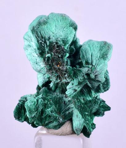 2.8cms MALACHITE CRYSTALS CONGO Mindingi Mine Super Shiny Mineral Specimen U613