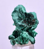 2.8cms MALACHITE CRYSTALS CONGO Mindingi Mine Super Shiny Mineral Specimen U613