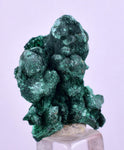 2.8cms MALACHITE CRYSTALS CONGO Mindingi Mine Super Shiny Mineral Specimen U613