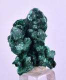 2.8cms MALACHITE CRYSTALS CONGO Mindingi Mine Super Shiny Mineral Specimen U613