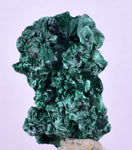 3.7cms MALACHITE CRYSTALS CONGO Mindingi Mine Super Shiny Mineral Specimen U614