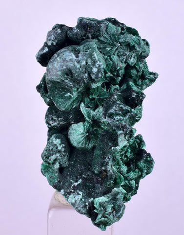 3.7cms MALACHITE CRYSTALS CONGO Mindingi Mine Super Shiny Mineral Specimen U614