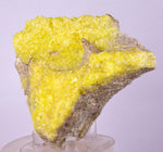 10.6cms SULPHUR NATURAL CRYSTALS Bolivia El Desierto Mine Potosi Mineral Specimen Collector Y101