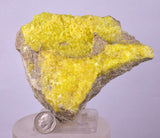 10.6cms SULPHUR NATURAL CRYSTALS Bolivia El Desierto Mine Potosi Mineral Specimen Collector Y101