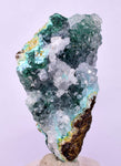 4.9cms GEM SILICA CHRYSOCOLLA Druzy Quartz Lily Mine Peru Mineral Specimen D288