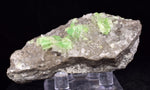 6.6cms AUGELITE CRYSTAL PERU Dark Green Bright Needle Quartz Pasto Bueno Rare Gemstone Facet Grade A642