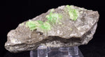 6.6cms AUGELITE CRYSTAL PERU Dark Green Bright Needle Quartz Pasto Bueno Rare Gemstone Facet Grade A642