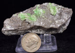 6.6cms AUGELITE CRYSTAL PERU Dark Green Bright Needle Quartz Pasto Bueno Rare Gemstone Facet Grade A642