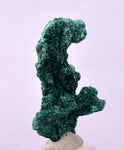 3.2cms GEM MALACHITE Crystals Ahouli Mines Midelt Province Morocco U615