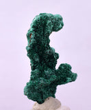 3.2cms GEM MALACHITE Crystals Ahouli Mines Midelt Province Morocco U615
