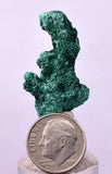 3.2cms GEM MALACHITE Crystals Ahouli Mines Midelt Province Morocco U615
