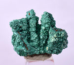 2.4cms GEM MALACHITE Crystals Ahouli Mines Midelt Province Morocco U616