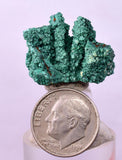 2.4cms GEM MALACHITE Crystals Ahouli Mines Midelt Province Morocco U616