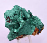 4.2cms GEM MALACHITE Crystals Ahouli Mines Midelt Province Morocco U617