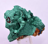 4.2cms GEM MALACHITE Crystals Ahouli Mines Midelt Province Morocco U617