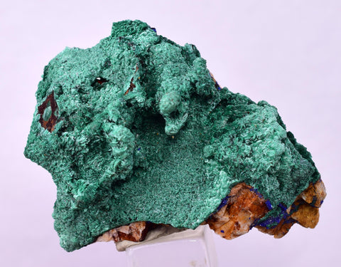 4.2cms GEM MALACHITE Crystals Ahouli Mines Midelt Province Morocco U617