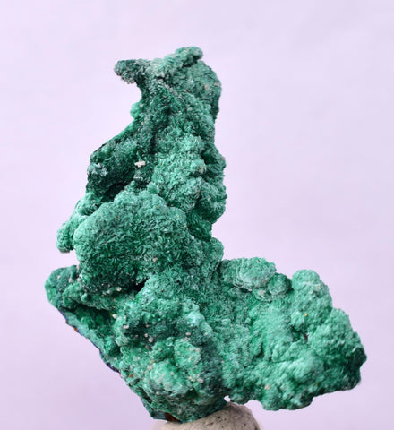 3.9cms GEM MALACHITE Crystals Ahouli Mines Midelt Province Morocco U618
