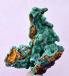 3.9cms GEM MALACHITE Crystals Ahouli Mines Midelt Province Morocco U618