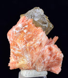 2.8cms CERUSSITE BARITE Crystals Morocco Mineral Specimen K104