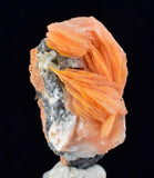 3.5cms CERUSSITE BARITE GALENA Crystals Morocco Mineral Specimen K111