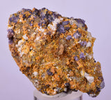 5.8cms RARE WULFENITE FLUORITE Mimetite Mini Crystals Alamo Arizona usa Y105