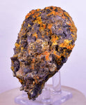 7.3cms RARE WULFENITE FLUORITE Mimetite Mini Crystals Alamo Arizona usa Y107