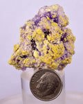 4.3cms COQUIMBITE ALUNOGEN CRYSTAL Romerite Copiatite Chalcantite Mineral Specimen U619