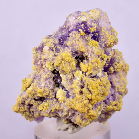 4.3cms COQUIMBITE ALUNOGEN CRYSTAL Romerite Copiatite Chalcantite Mineral Specimen U619
