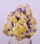 4.3cms COQUIMBITE ALUNOGEN CRYSTAL Romerite Copiatite Chalcantite Mineral Specimen U619