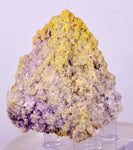5.6cms COQUIMBITE ALUNOGEN CRYSTAL Romerite Copiatite Chalcantite Mineral Specimen U621