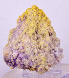 5.6cms COQUIMBITE ALUNOGEN CRYSTAL Romerite Copiatite Chalcantite Mineral Specimen U621