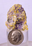 3.1cms COQUIMBITE ALUNOGEN CRYSTAL Romerite Copiatite Chalcantite Mineral Specimen U623