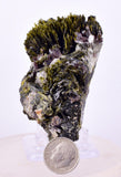 7.1cms AXINITE QUARTZ CRYSTALS Epidote Cluster Garnet Peru Mineral Specimen Collectors A646
