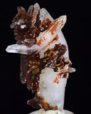 5.7cms  HEMATOID QUARTZ GOETHITE Rare Shiny Crystal Mineral Specimen Q393