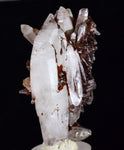 5.7cms  HEMATOID QUARTZ GOETHITE Rare Shiny Crystal Mineral Specimen Q393