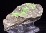 6.6cms AUGELITE CRYSTAL PERU Dark Green Bright Needle Quartz Pasto Bueno Rare Gemstone Facet Grade A642