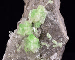 6.6cms AUGELITE CRYSTAL PERU Dark Green Bright Needle Quartz Pasto Bueno Rare Gemstone Facet Grade A642